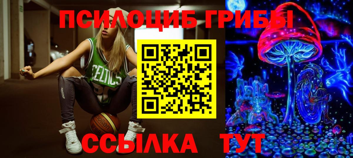 Нижнекамск  Псилоцибиновые грибы Cubensis  Вход с VPN 